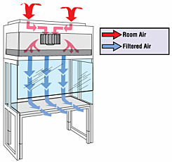 Vertical Laminar Flow Hoods