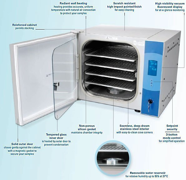 Midi 40 Small Capacity CO2 Incubator-Thermo Scientific