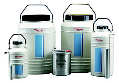 https://www.terrauniversal.com/media/catalog/product/cache/9432eaff33670a35f4bedbf129c1737a/a/r/arctic-express-cryogenic-dry-shipper-thermo-scientific-a4.jpg